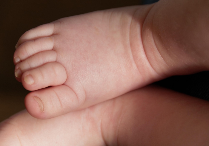 一例确诊,千里防线,内蒙古的静与动 一例确诊,千里防线,内蒙古的静与动