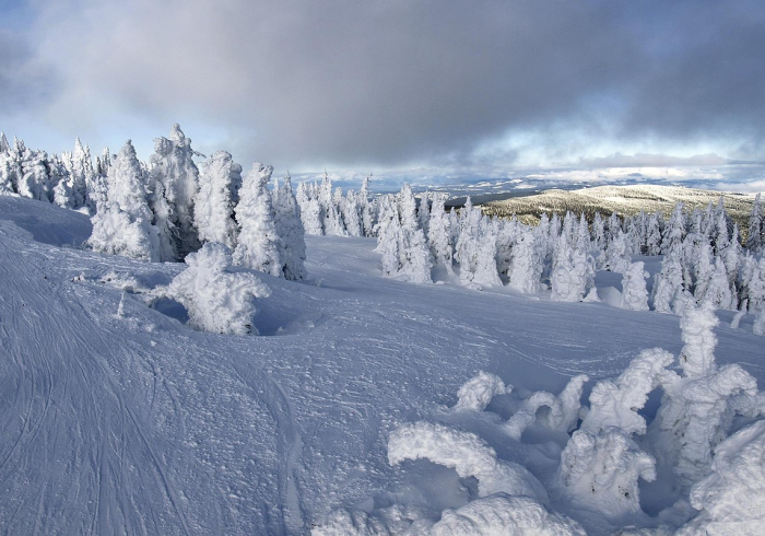 北极穿衣术，在冰封世界里，人类如何与极寒共舞？