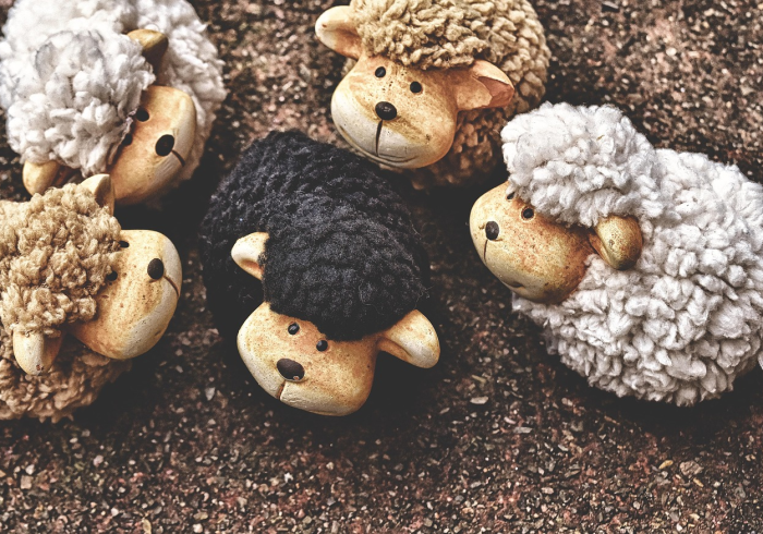 红码,被数字囚禁的羊,与十二生肖的现代寓言 红码,被数字囚禁的羊,与十二生肖的现代寓言