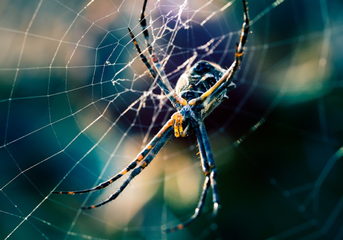 十万元,驶向生活新坐标的黄金分割点 十万元,驶向生活新坐标的黄金分割点