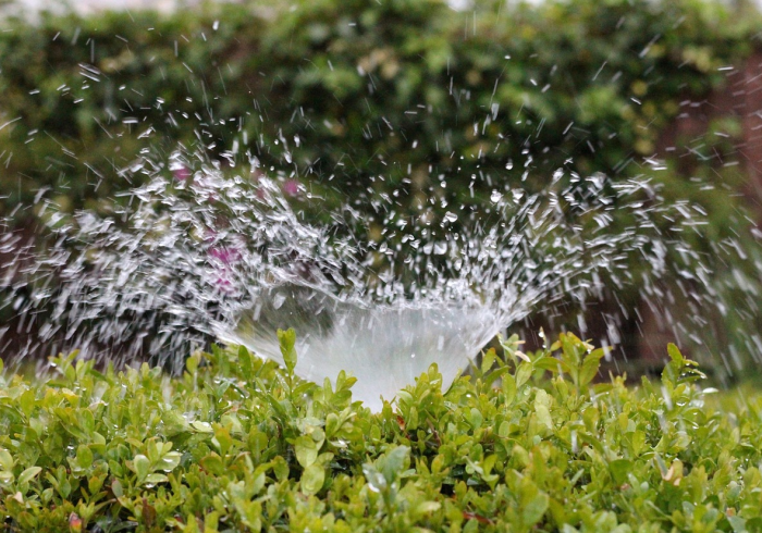 数据背后，广东新增2例确诊，透视动态清零的精准与温度