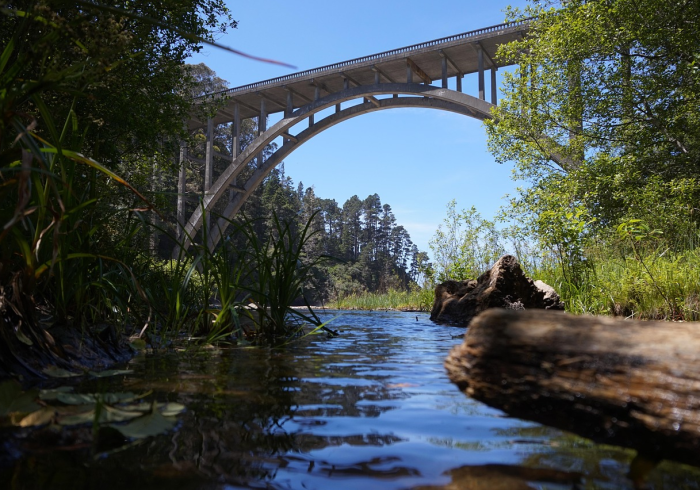 桐城新章，当文脉古城按下刷新键