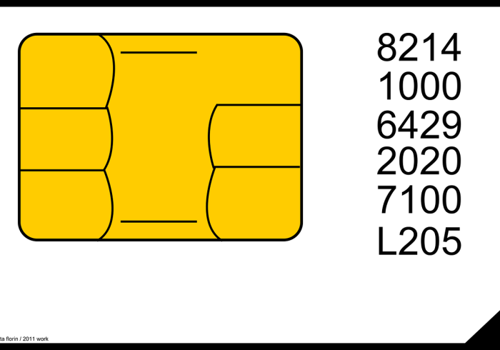 健康码变黑,数字身份背后的隐喻与警示 健康码变黑,数字身份背后的隐喻与警示