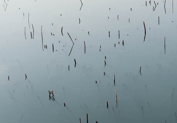 北京疫情,在不确定性中淬炼韧性 北京疫情,在不确定性中淬炼韧性