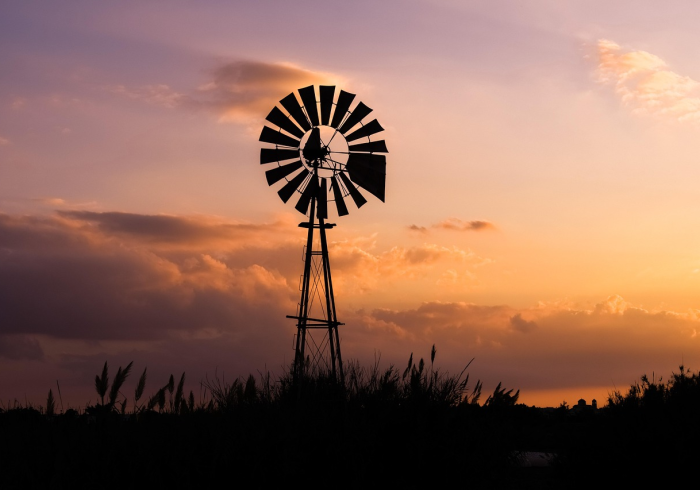 时间之锚,当几月几号成为千万家庭的集体心跳 时间之锚,当几月几号成为千万家庭的集体心跳