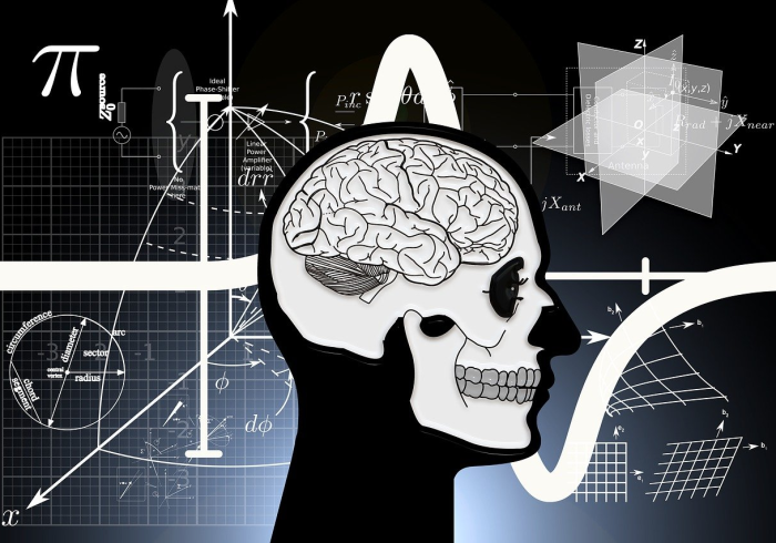 被隐瞒的死亡与被遗忘的尊严 被隐瞒的死亡与被遗忘的尊严