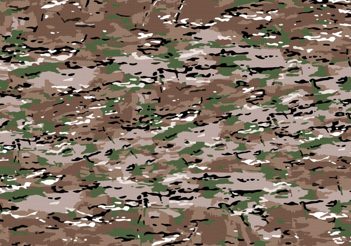 皖北疫情,黄淮平原上的无声战役 皖北疫情,黄淮平原上的无声战役