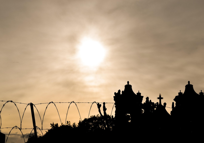 祭奠与远行，清明假期里，青年一代的文化寻根