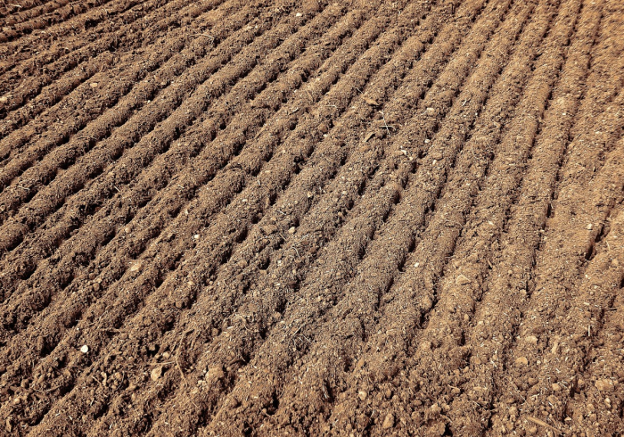 钟南山与乡土中国，一条被忽视的健康防线