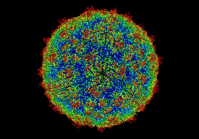 病毒溯源，一场科学探索与全球合作的漫长旅程