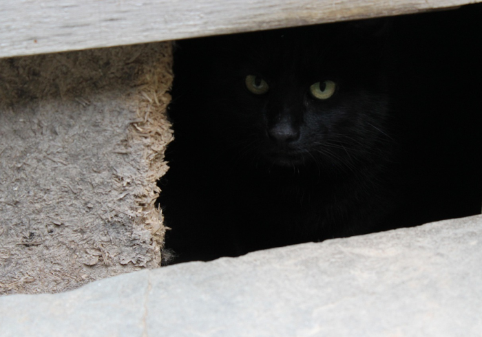最后的油滴,当人类凝视最后一升燃料的深渊 最后的油滴,当人类凝视最后一升燃料的深渊