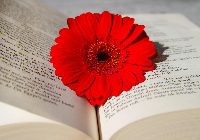 解封之后，我们还能认出彼此吗？