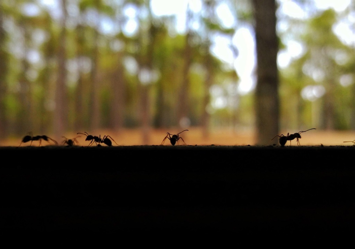 封控区几时解除，在等待中重建生活的时间哲学