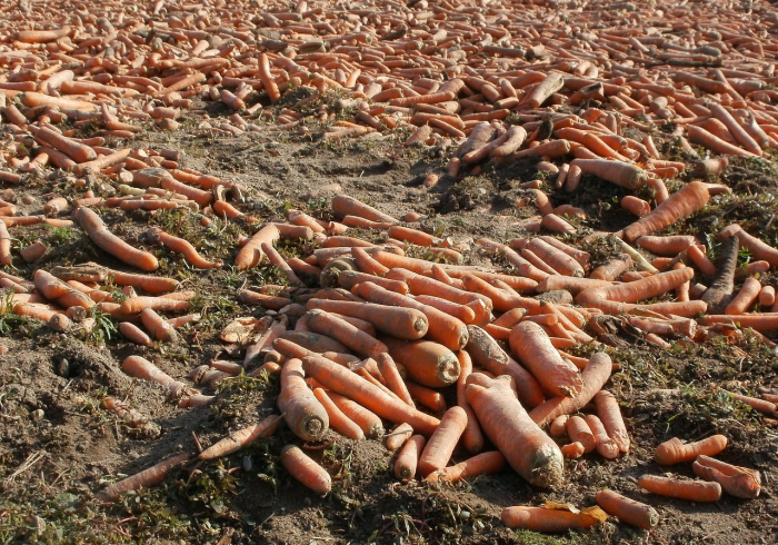 宁夏有没有无症状感染者，隐匿的威胁与科学的应对