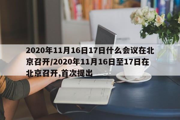 2020年11月16日17日什么会议在北京召开/2020年11月16日至17日在北京召开,首次提出