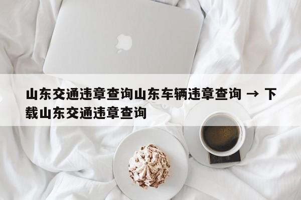 山东交通违章查询山东车辆违章查询 → 下载山东交通违章查询