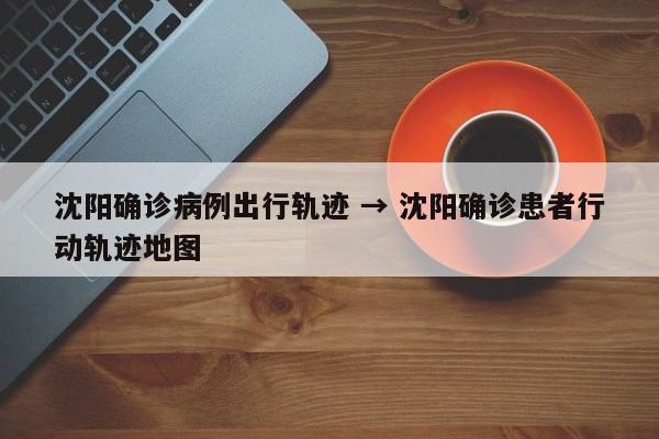 沈阳确诊病例出行轨迹 → 沈阳确诊患者行动轨迹地图